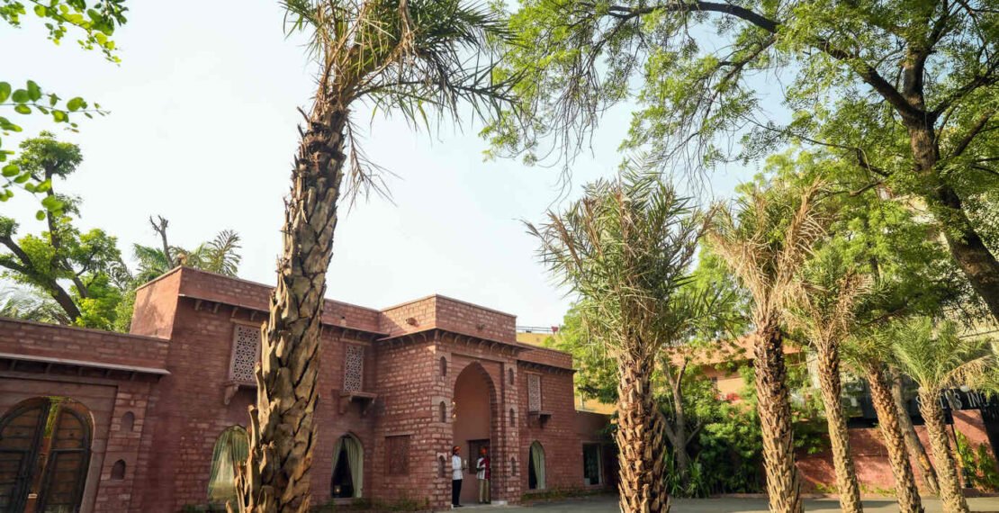 imageedit_4_6500037335